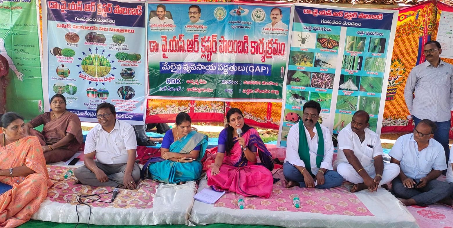 తక్కువ పెట్టుబడితో ఎక్కువ దిగుబడి సాధించాలి