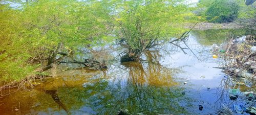 మురుగుతో విషజ్వరాలు, అంటు రోగాలతో అవస్థలు