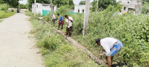 సైడ్ కాలువల్లో పిచ్చి మొక్కలను తొలగిస్తున్న పంచాయతీ పారిశుద్ధ కార్మికులు