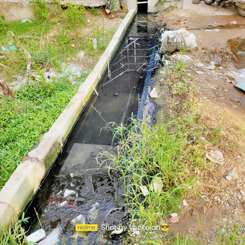 నియంత్రణా చర్యలు చేపట్టని అధికారులు