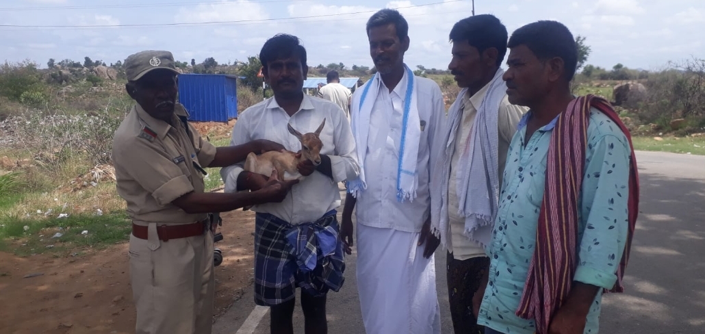 జింక పిల్లను అటవీశాఖ బీట అధికారికి అందిస్తున్న రైతులు