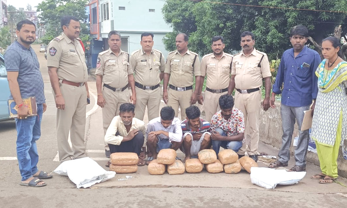 యథేచ్ఛగా గంజాయి రవాణా