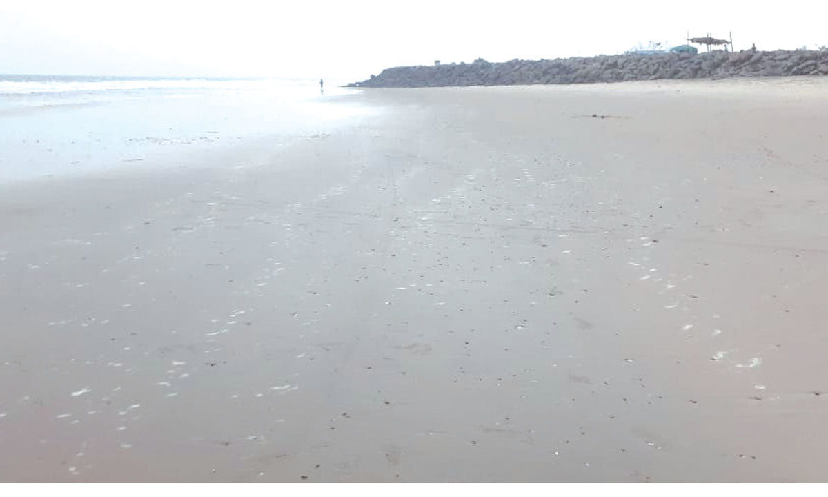 30 మీటర్లు వెనక్కి వెళ్లిన సముద్రం