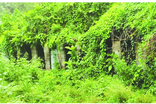 సామూహిక మరుగుదొడ్లు నిరుపయోగం