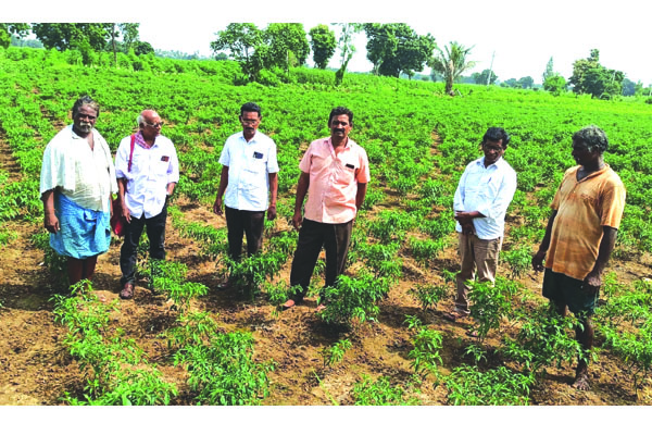 ఎకరాకు రూ.30 వేల పరిహారం ఇవ్వాలి