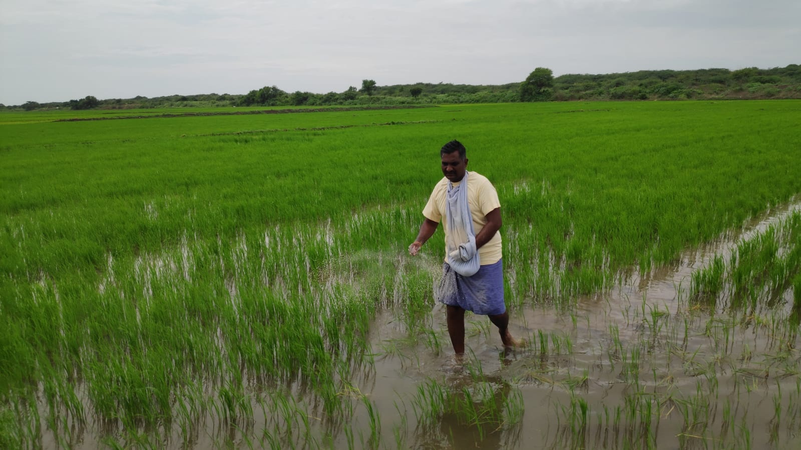 కౌల్దారుకు అరకొర రుణం