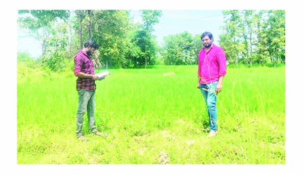 30 వరకు ఇ-పంట నమోదు