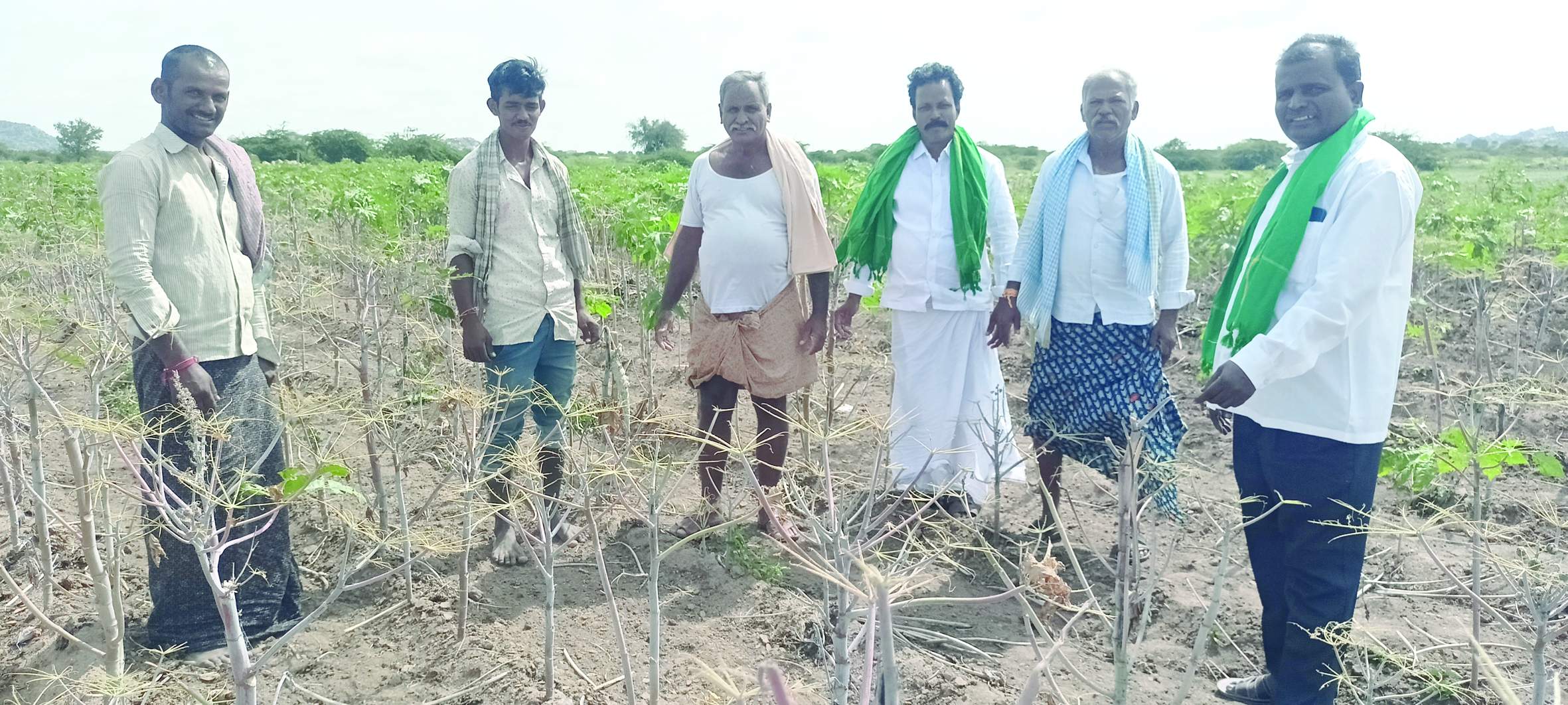 ఆముదం పంటను పరిశీలిస్తున్న రైతుసంఘం నాయకులు