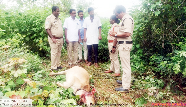  మళ్లీ పులి సంచారం