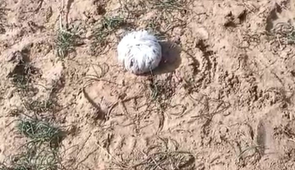 Bomb-blast-in-Jammalamadugu