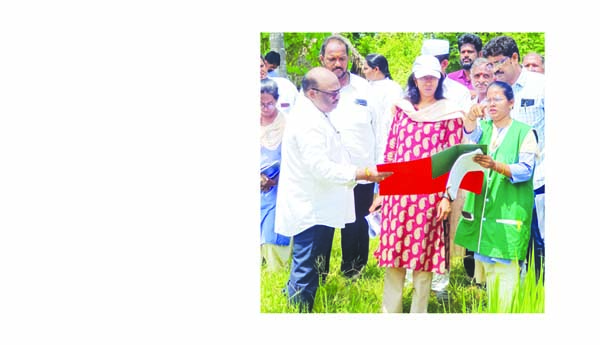 కలెక్టర్‌ ఇ-పంట నమోదు పరిశీలన