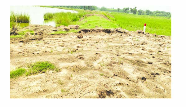 చెరువు గర్భం ఆక్రమణ