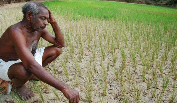 వానలు..లేవాయే..!