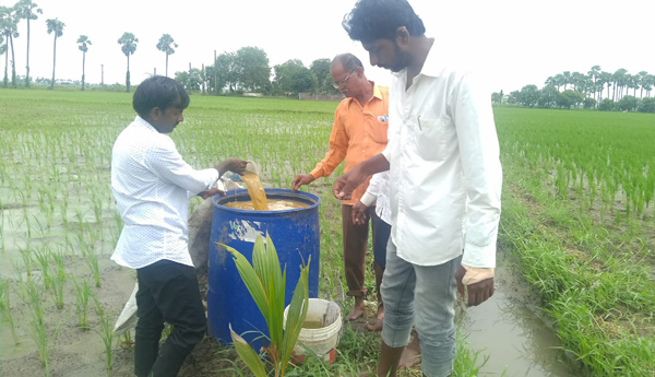 Farmers-should-show-interest-in-natural-farming