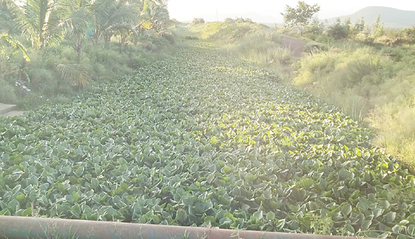 కాలువ ఇలా.. సాగు ఎలా?