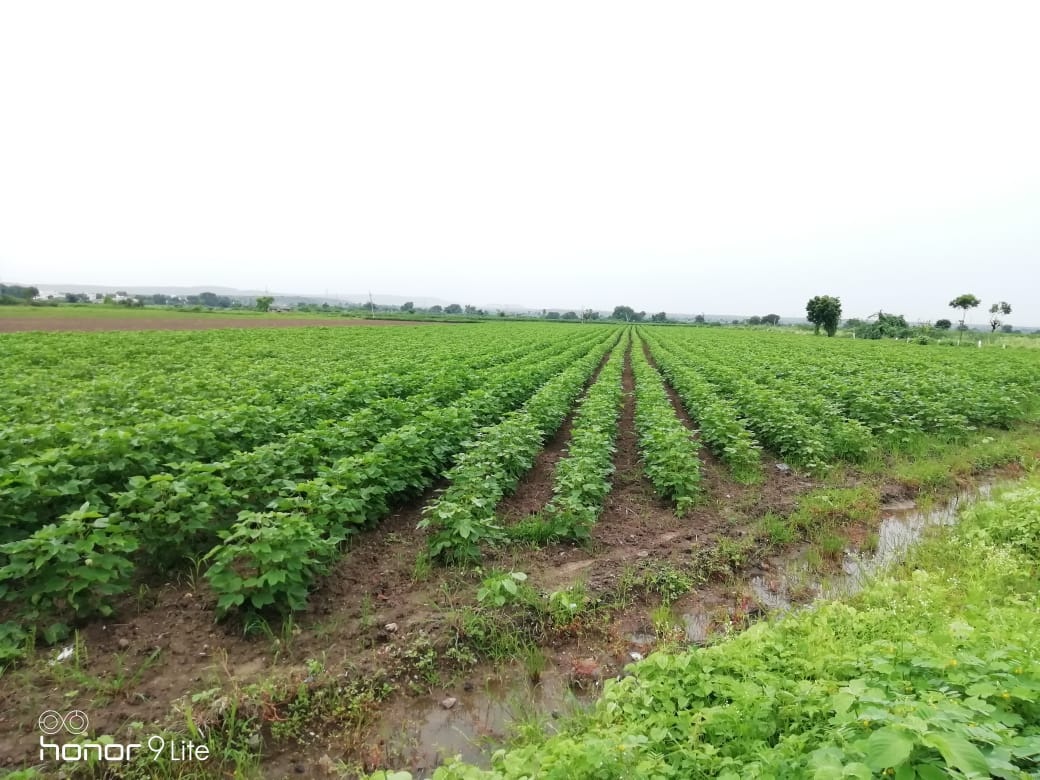 ముగింపు దశకు ఖరీఫ్‌
