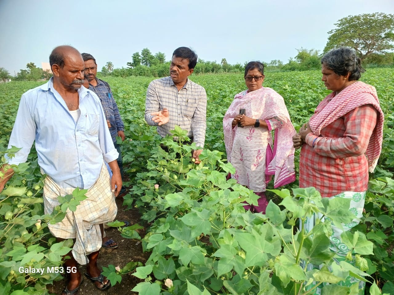 నియంత్రించకుంటే పెట్టుబడి ఖర్చూ రాదు