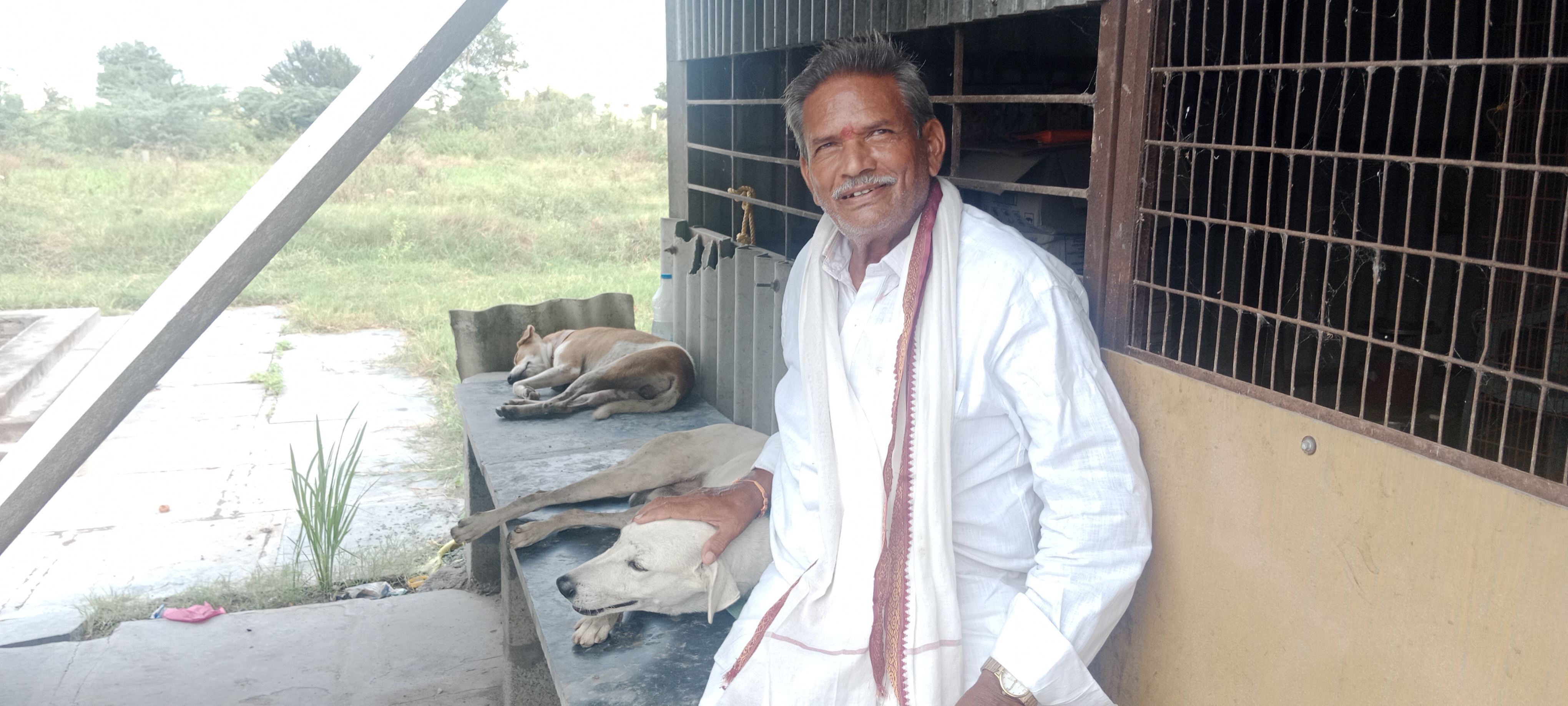 ఆ చల్లని హస్తం.. వీధి కుక్కల నేస్తం..