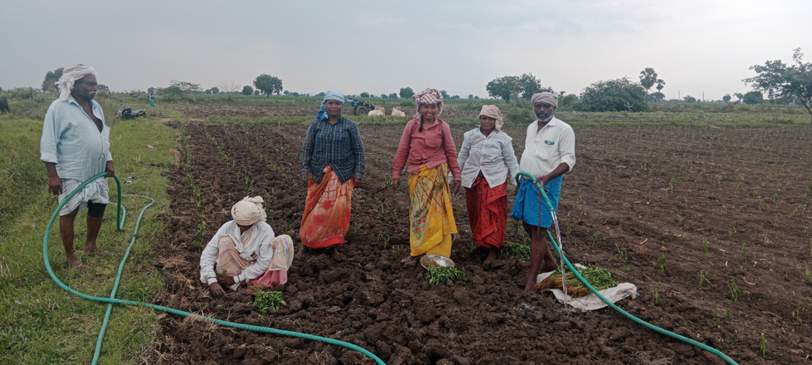 పదును లేకున్నా.. అదును పోతుందని..