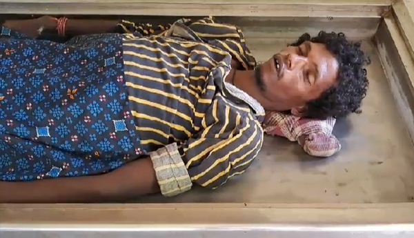 one-died-by-snake-bite