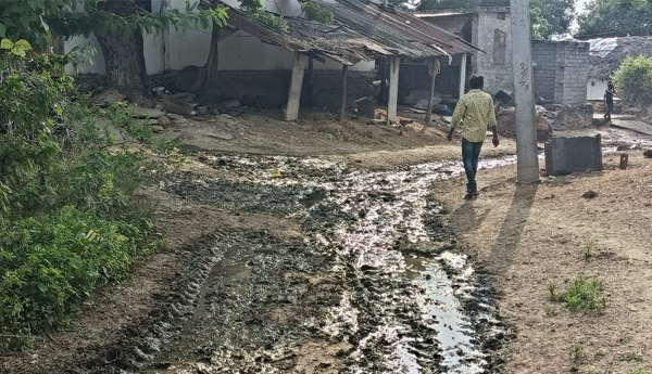 జ్వరాల విజృంభణ