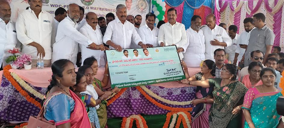 లబ్ధిదారులకు చెక్కులు పంపిణీ చేస్తున్న మంత్రి పెద్దిరెడ్డి