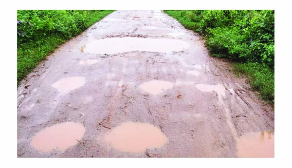 చిలకాంపై చిన్నచూపు