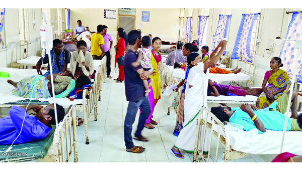  విజృంభిస్తున్న జ్వరాలు