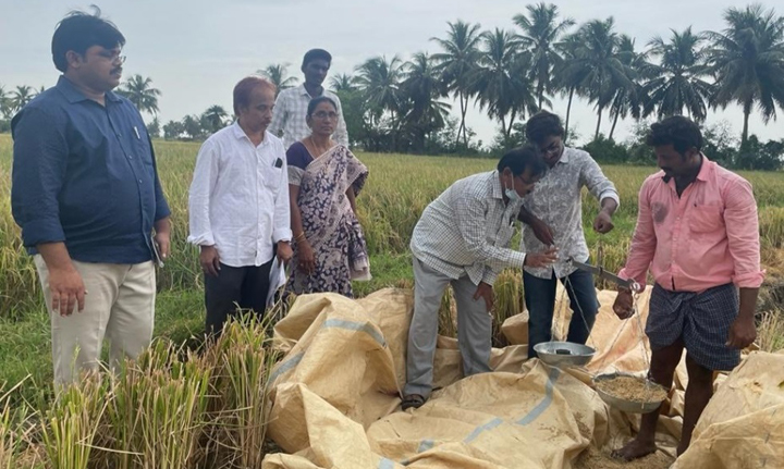 పంట కోత ప్రయోగం పరిశీలన
