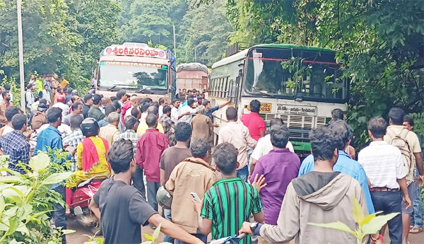 A-heavy-lorry-stopped-on-the-ghat-road-vehicles-were-standing-for-hours