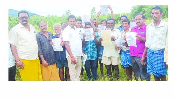 డి పట్టా భూములు సర్వే చేయండి