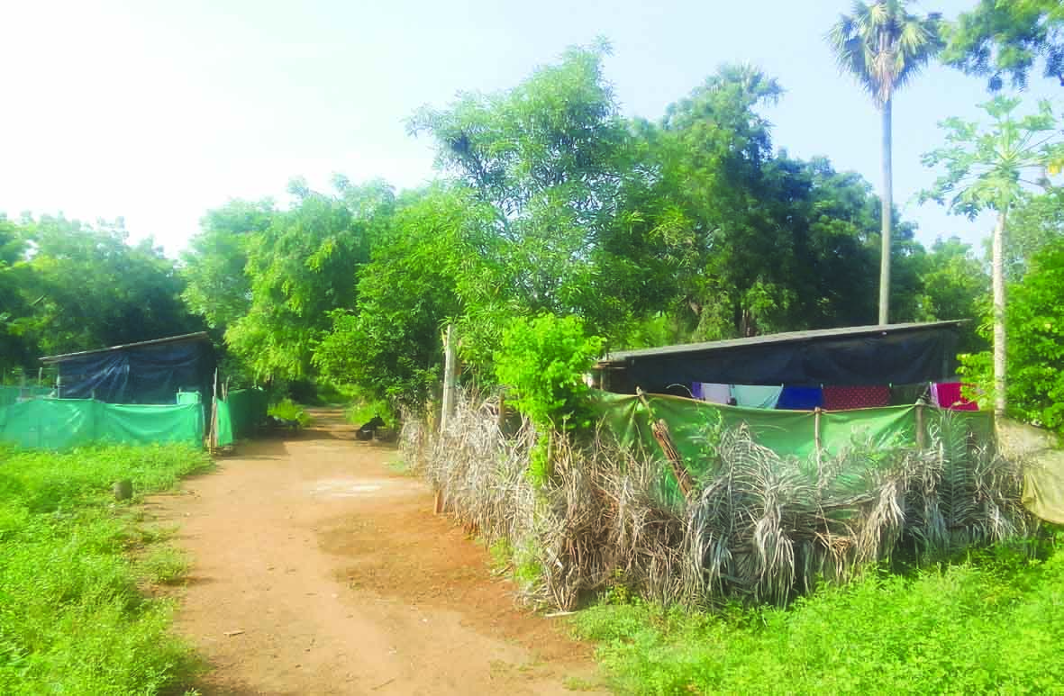 ఇంటి స్థలం లేదు... అద్దె ఇంట్లో ఉండే స్తోమత లేదు