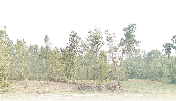 పెత్తందారుల చెరలో అసైన్డ్‌ భూములు