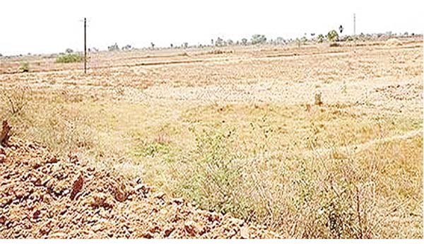 తగ్గుతున్న వ్యవసాయం