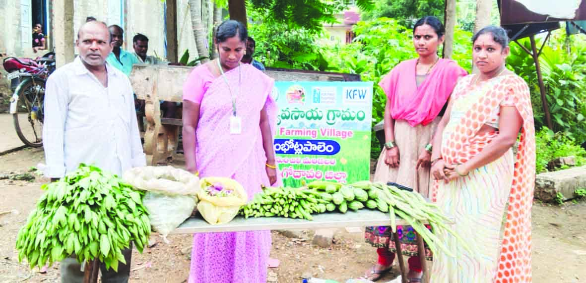 ప్రకృతి వ్యవసాయంతోనే ఆరోగ్యం