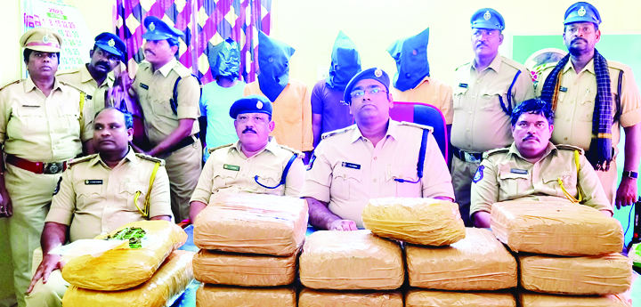 గంజాయి అక్రమ రవాణా పట్టివేత