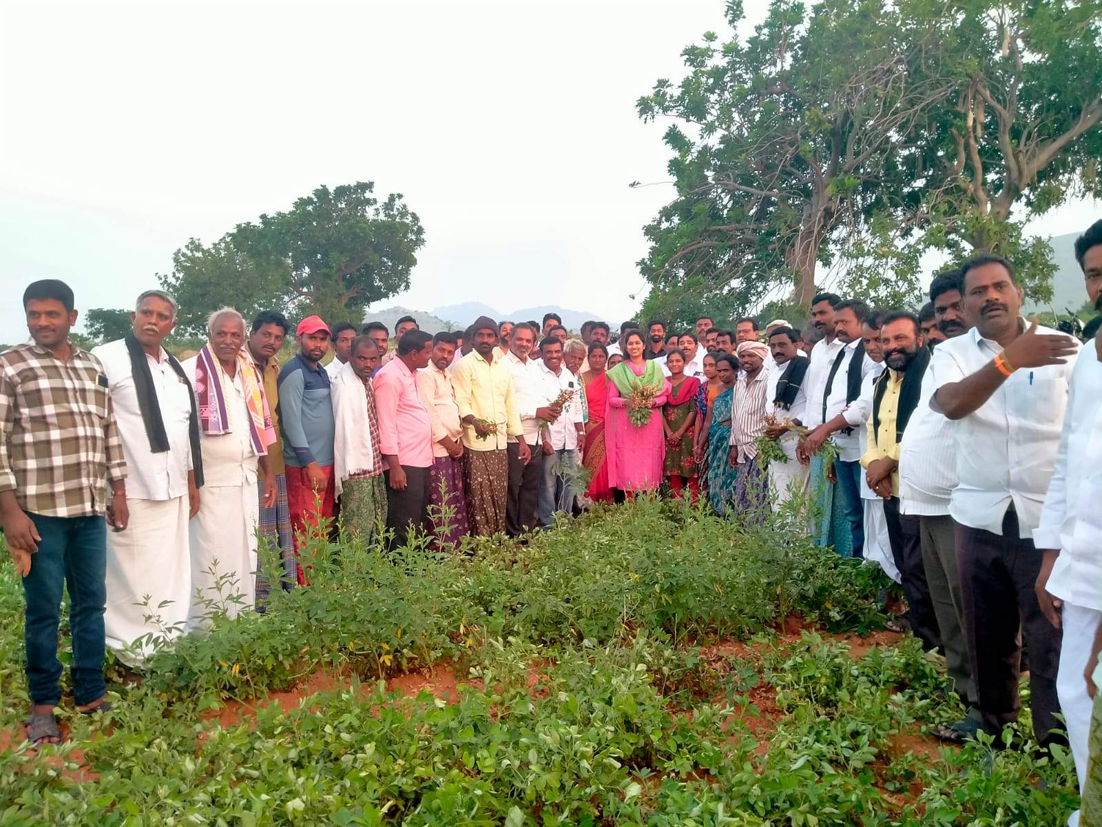    పంట పొలాలను పరిశీలిస్తున్న టిడిపి నియోజకవర్గ ఇన్‌ఛార్జి బండారు శ్రావణి