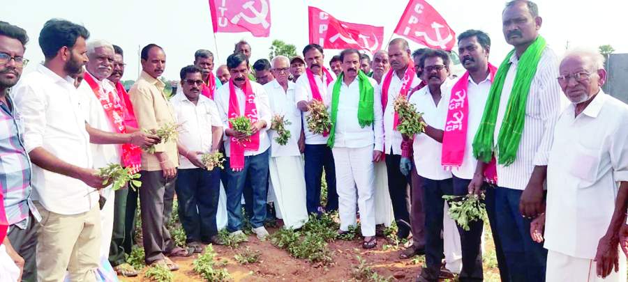 గుత్తి మండలంలో వేరుశన పంటను పరిశీలిస్తున్న సిపిఐ రాష్ట్ర కార్యదర్శి రామకృష్ణ, నాయకులు