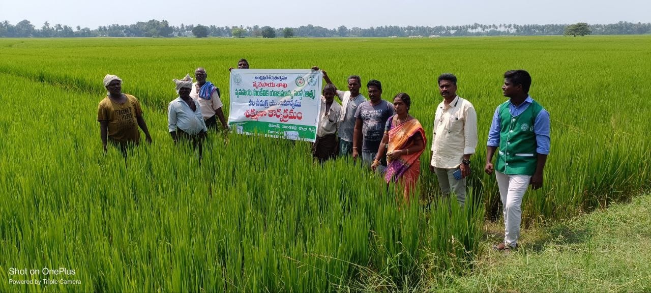 రైతులు సస్యరక్షణ చర్యలు చేపట్టాలి