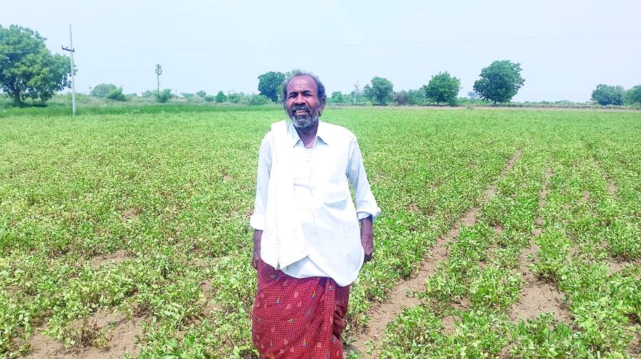   ఎండుతున్న పంట వివరాలను వివరిస్తున్న రైతు కేశవరెడ్డి