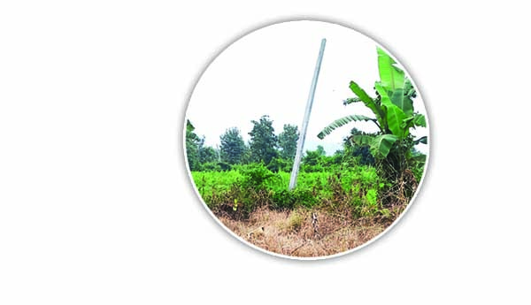 విద్యుత్తు శాఖలో దొంగలు పడ్డారు..!?