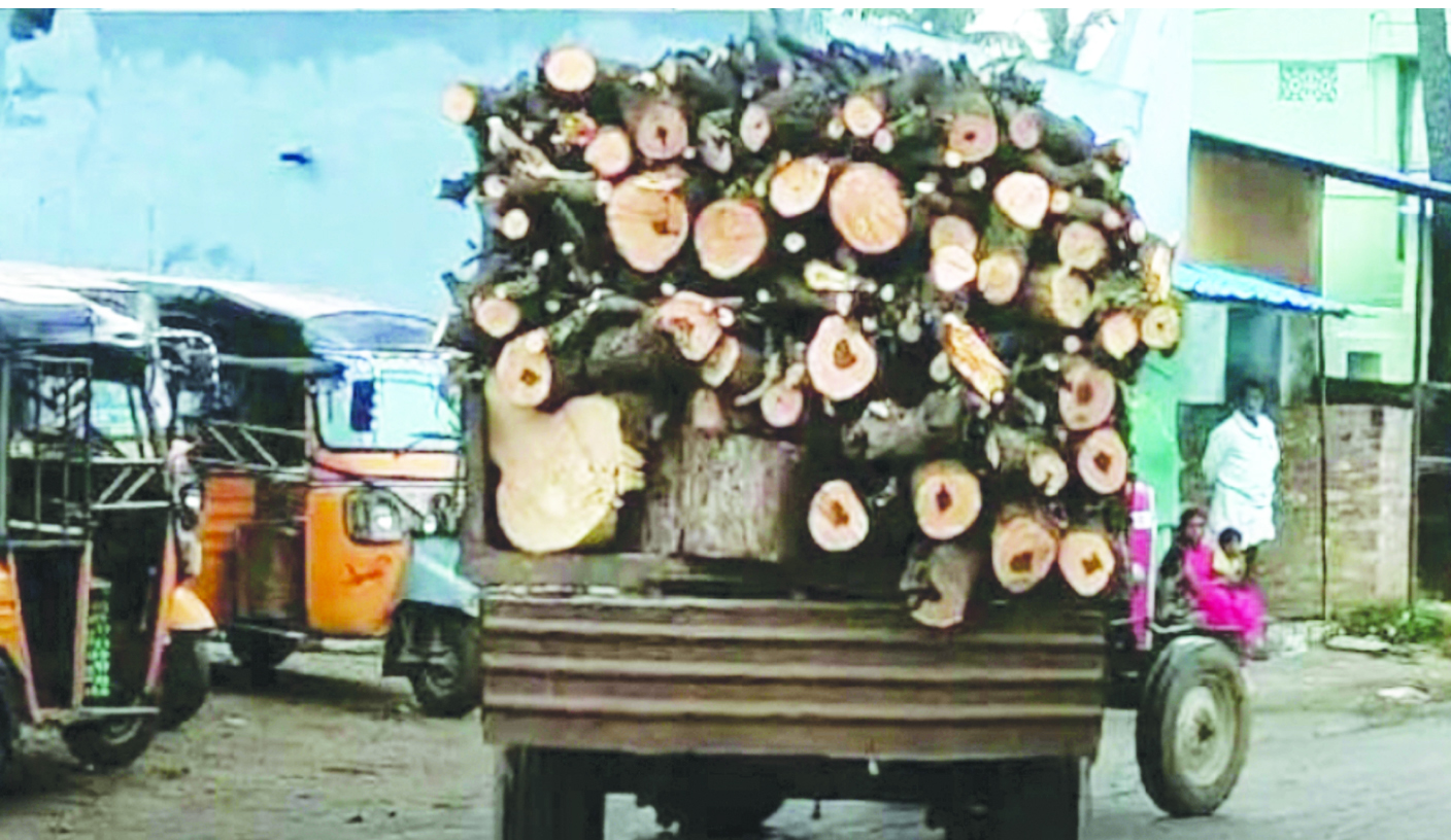 పలమనేరు సరిహద్దులోని చెక్‌పోస్టు, ట్రాక్టర్‌లో తరలిపోతున్న అక్రమ కలప