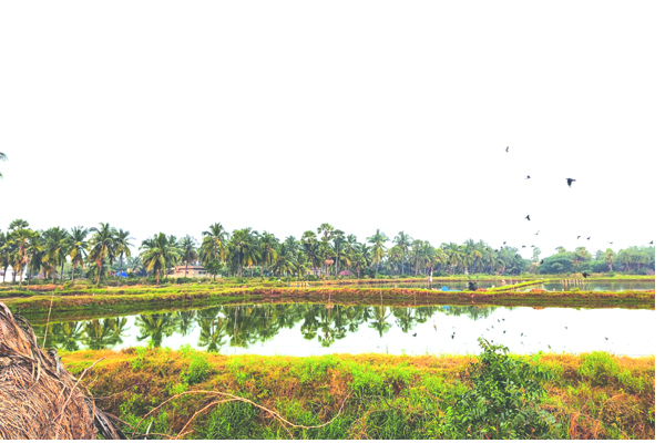 పెద్దల చెరలో పేదల భూములు