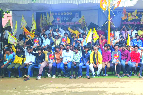 చంద్రబాబుకు మద్దతుగా ర్యాలీలు, దీక్షలు