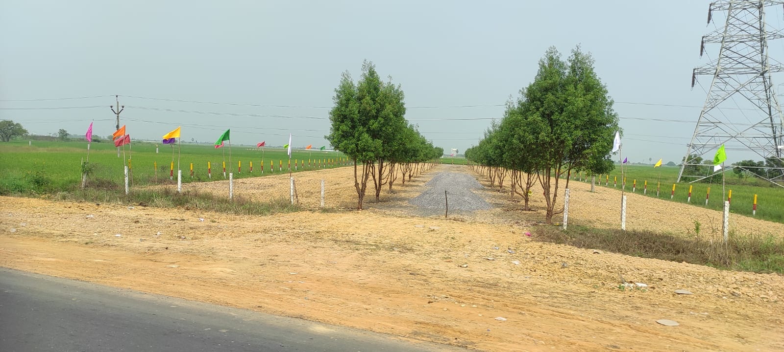 సన్నగిల్లుతున్న సాగు