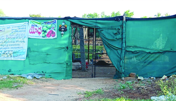 action-against-gardens