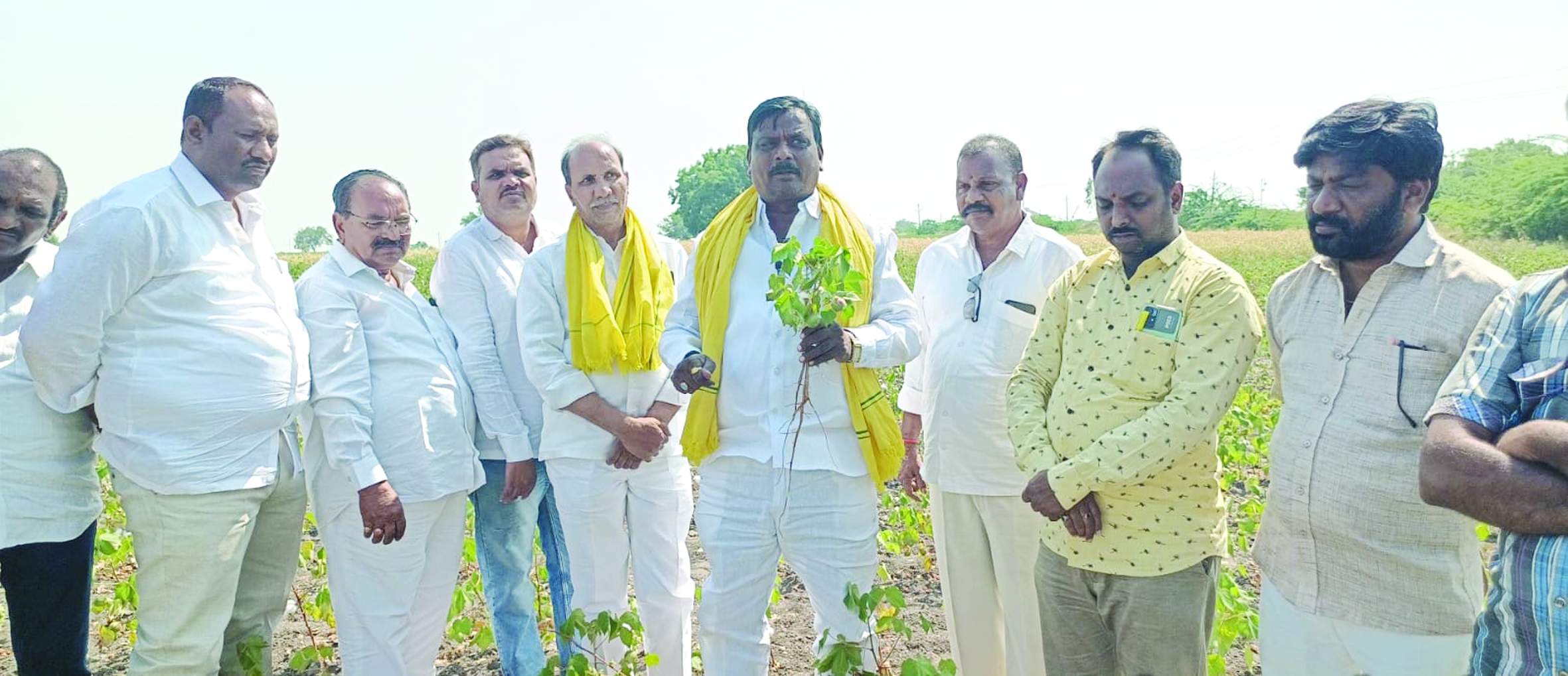 పంట పొలాలను పరిశీలిస్తున్న నాయకులు