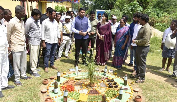 అధిక దిగుబడులు సాధించాలి