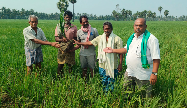 crop-damage-in-adoni