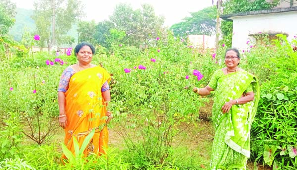  గులాబీవనం ... పి.ఆమిటి గురుకులం